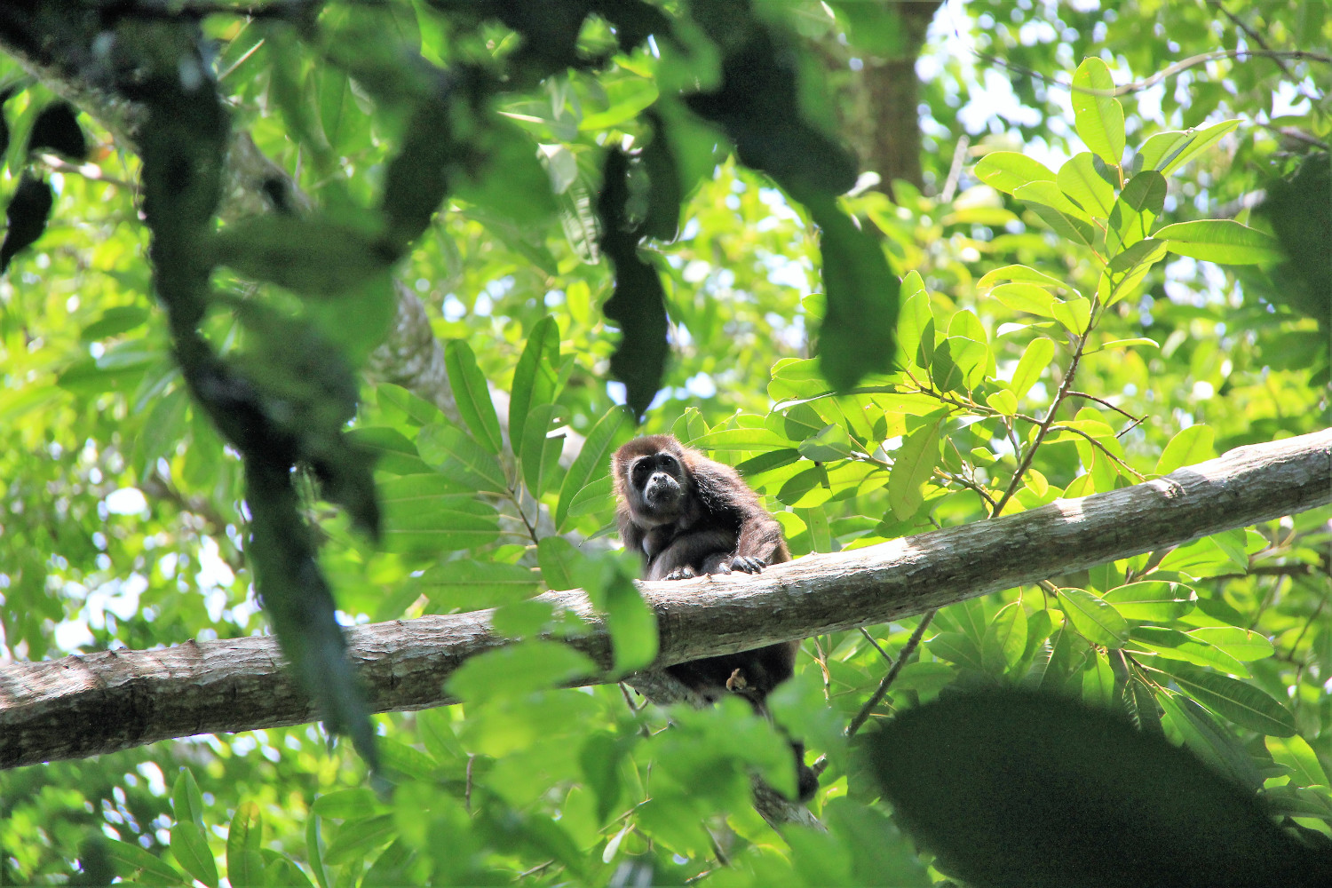 Costa Rica