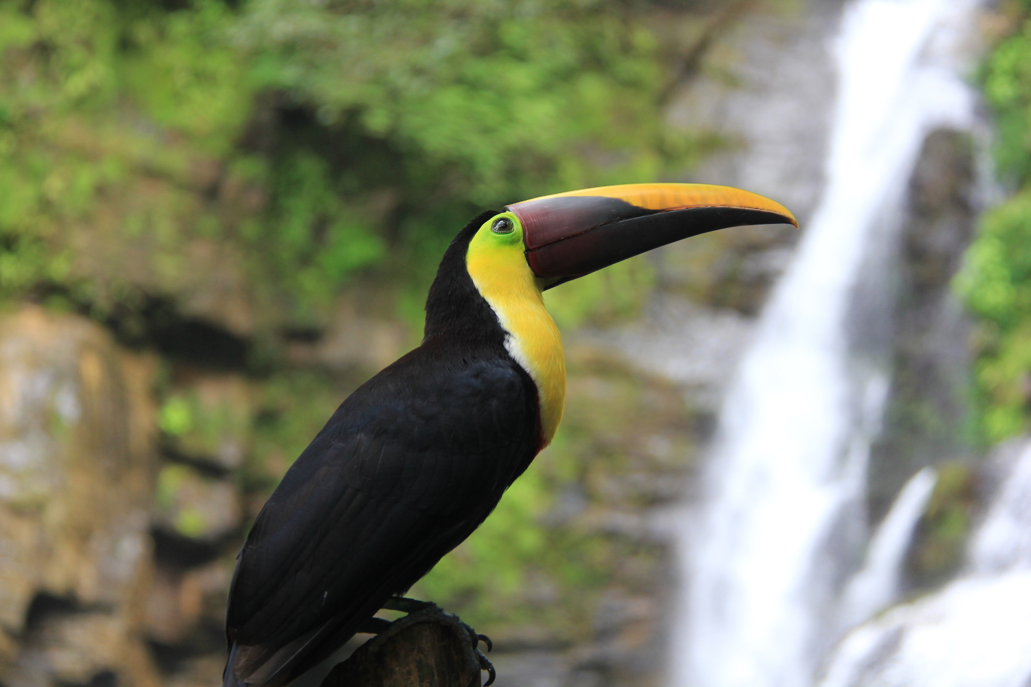 Costa Rica