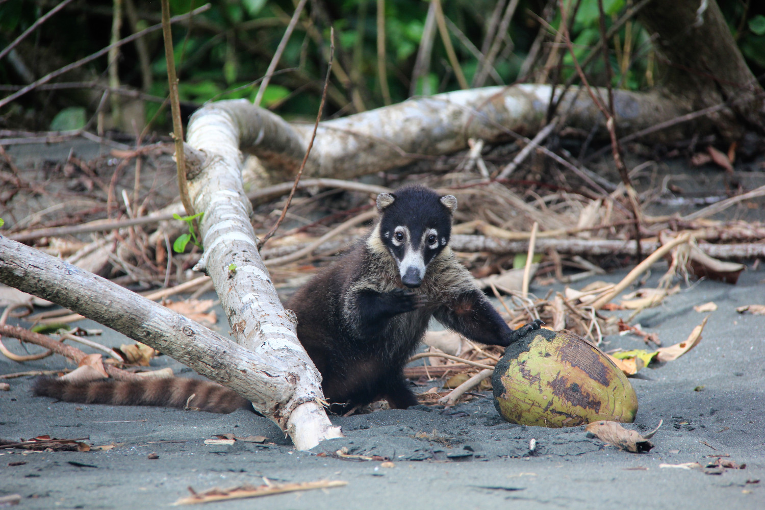 Costa Rica