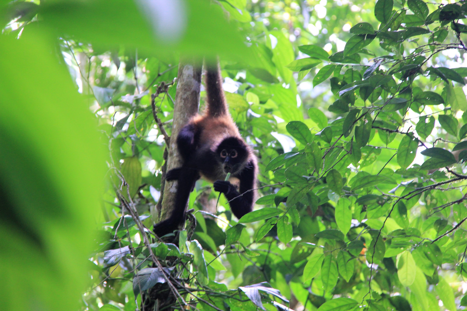 Costa Rica