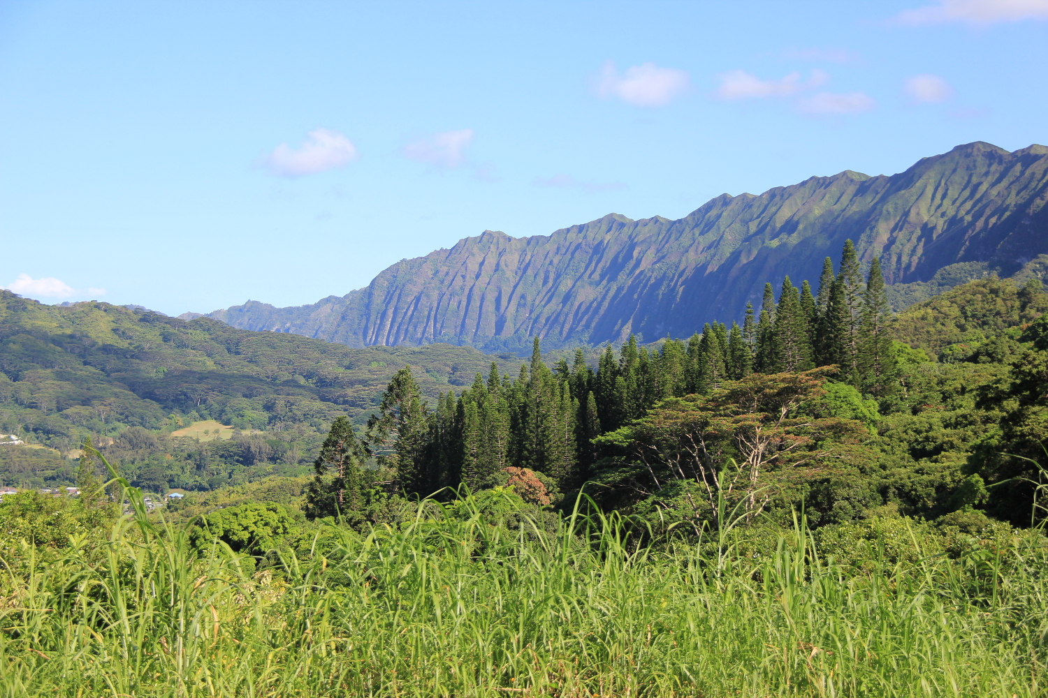 Hawaii
