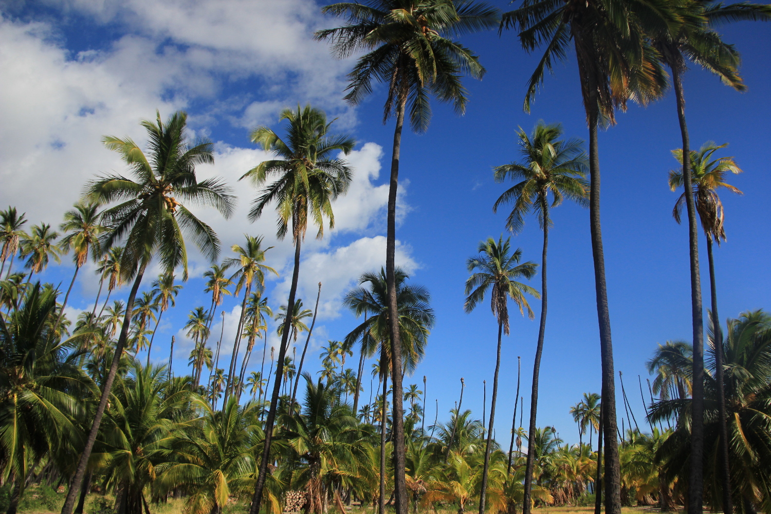 Hawaii