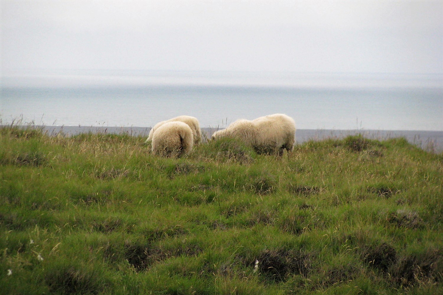Iceland