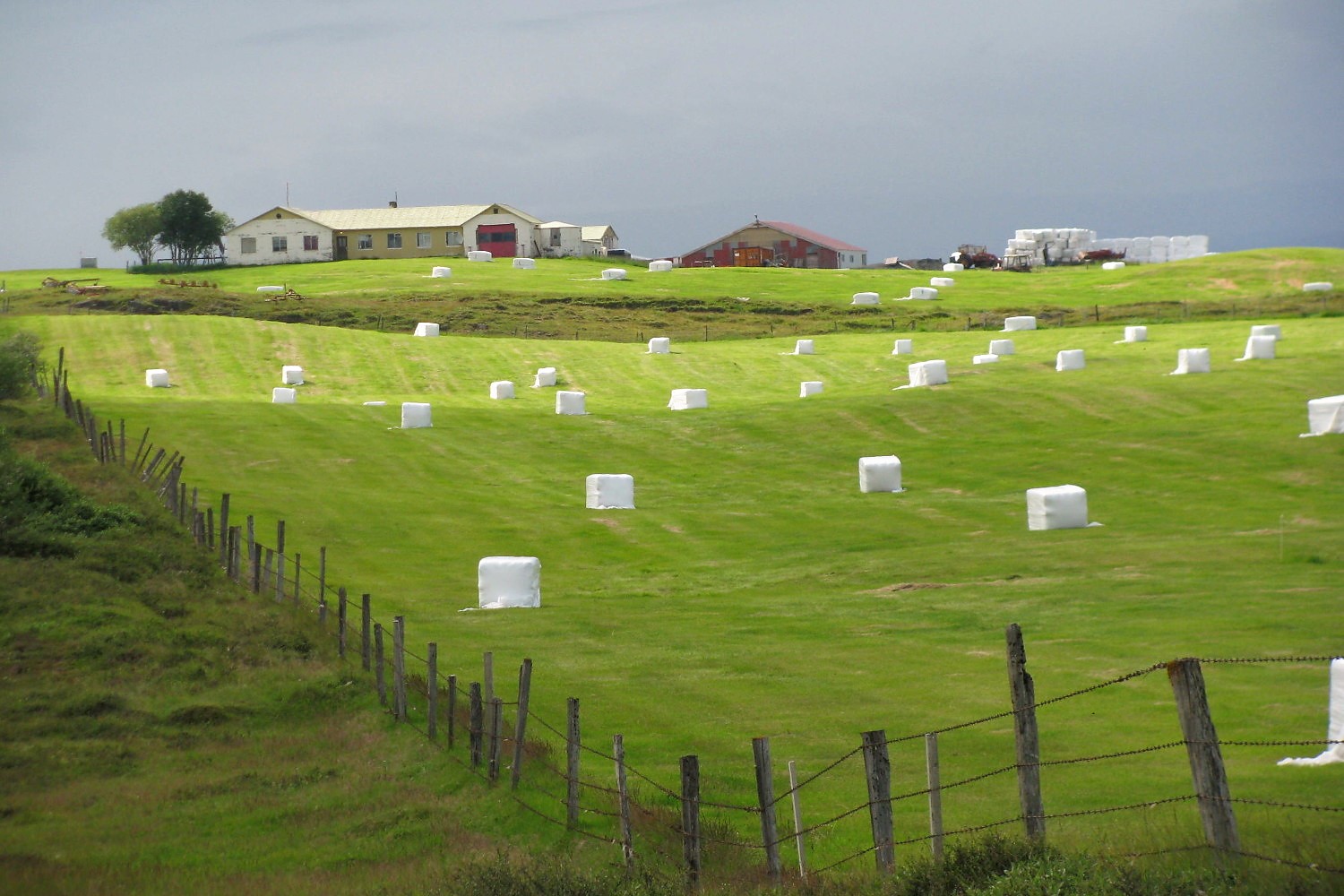 Iceland