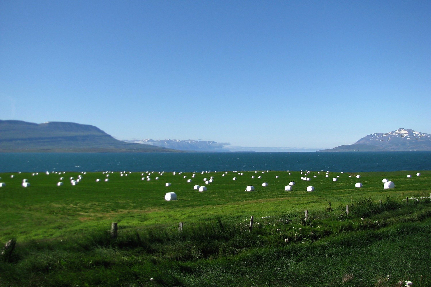 Iceland