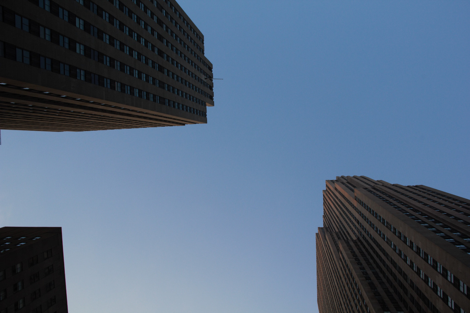 NY
