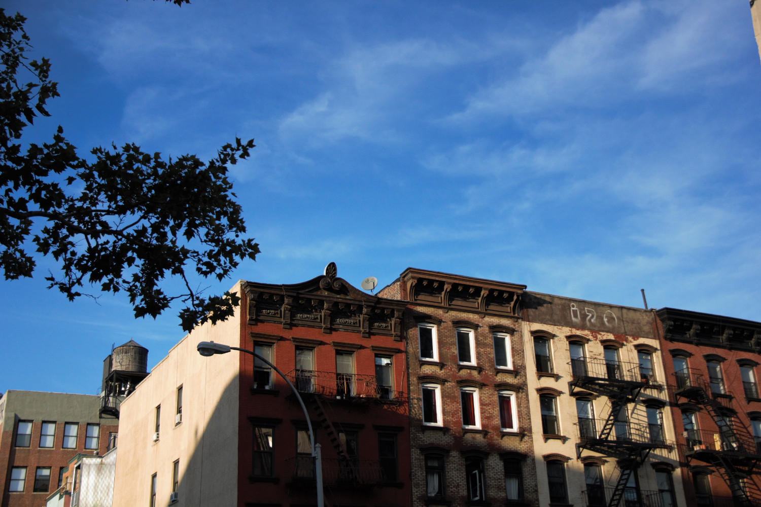 NY