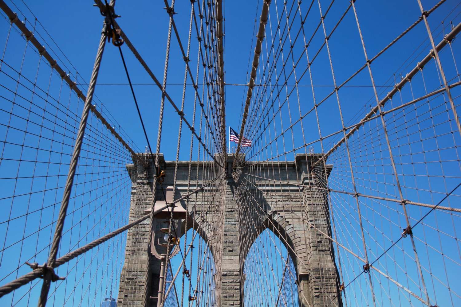 NY