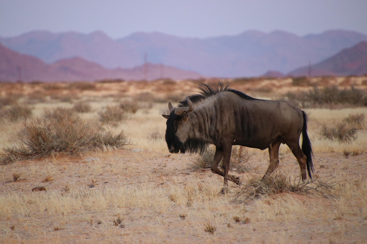 Namibia