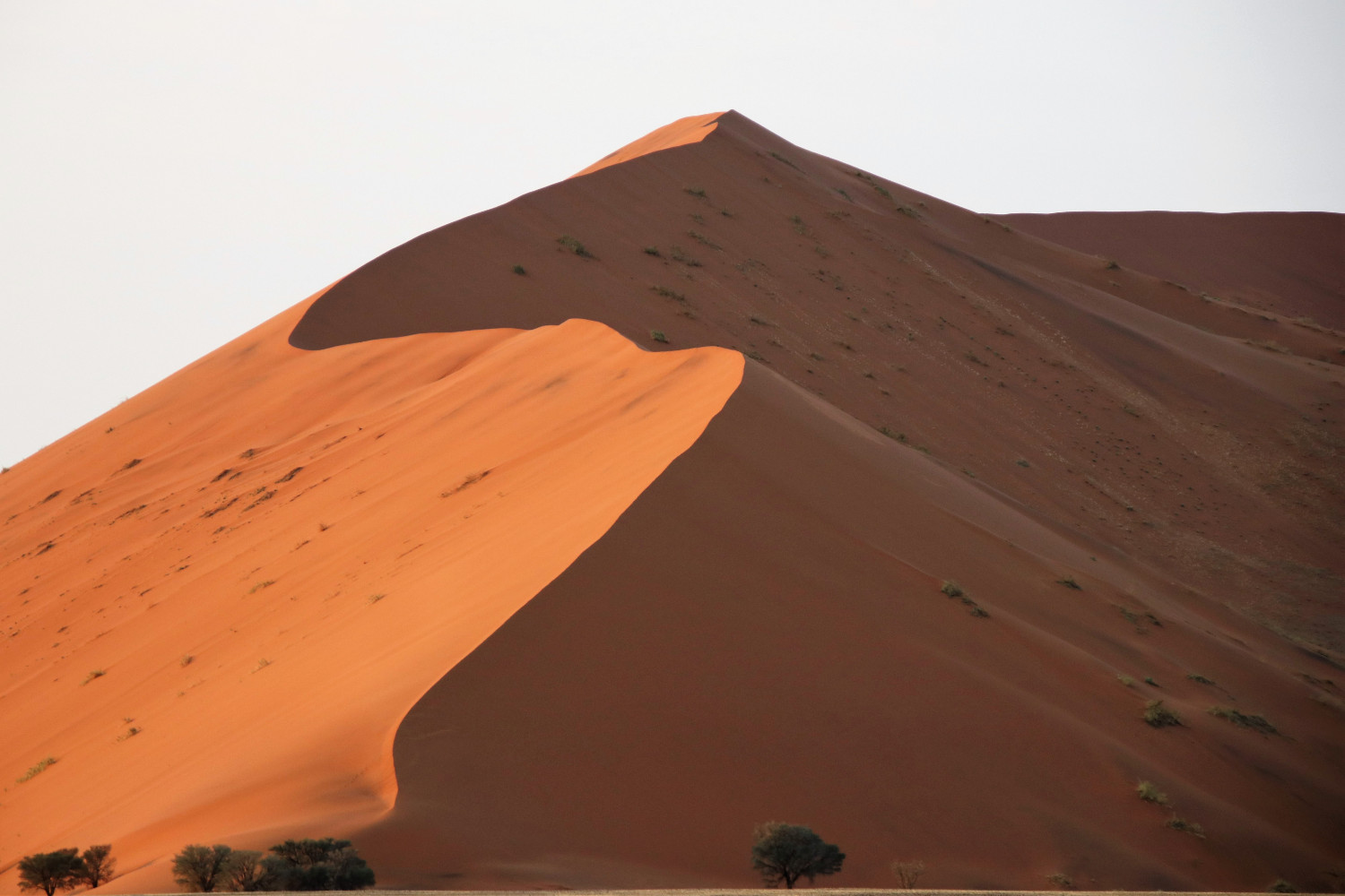 Namibia