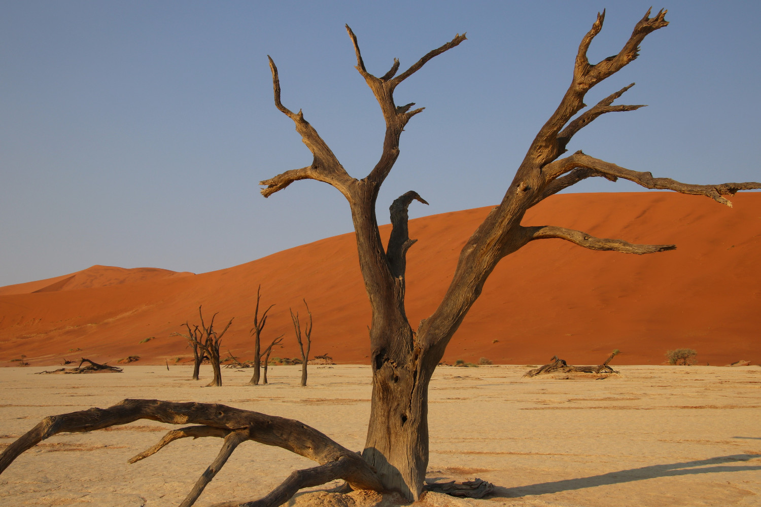 Namibia