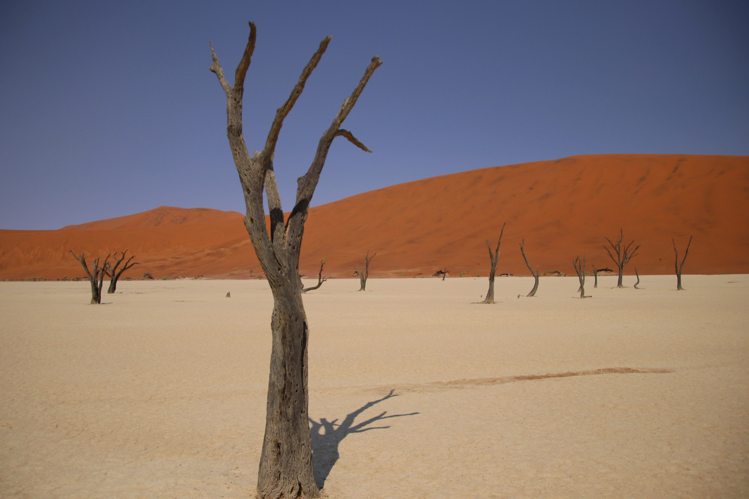 Namibia