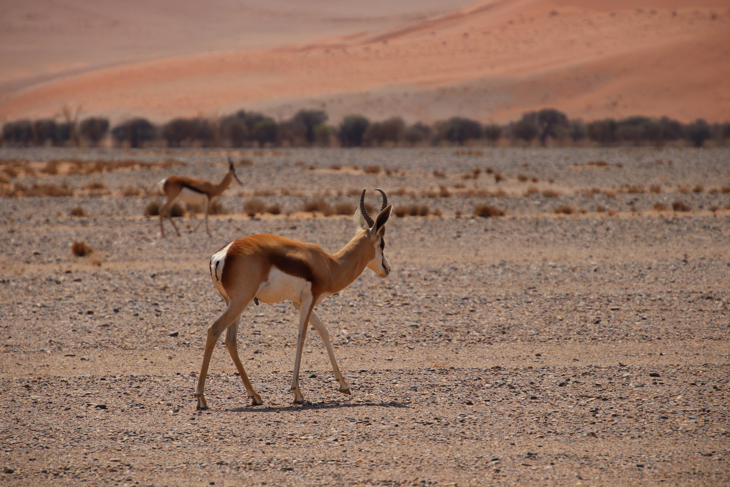 Namibia