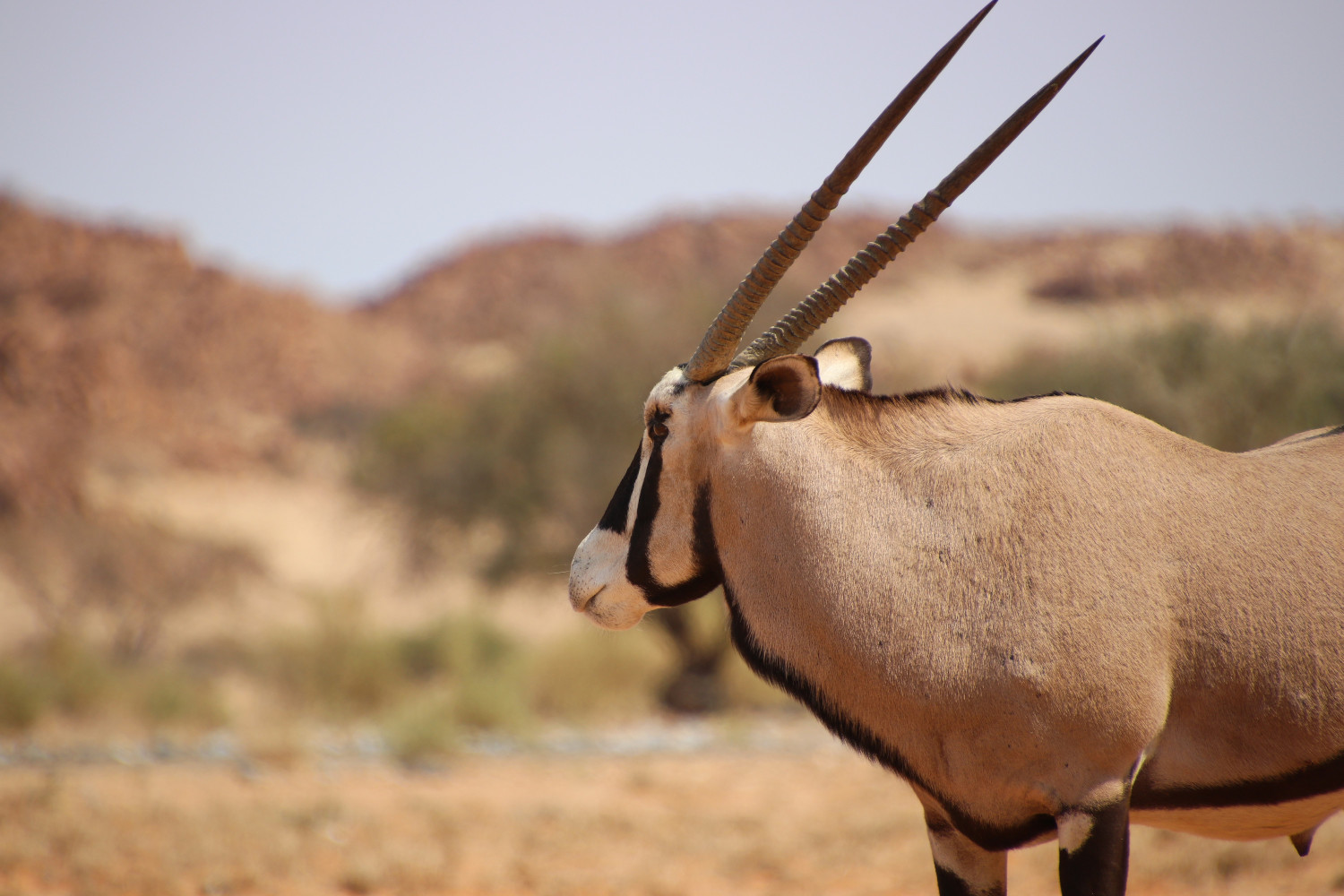 Namibia