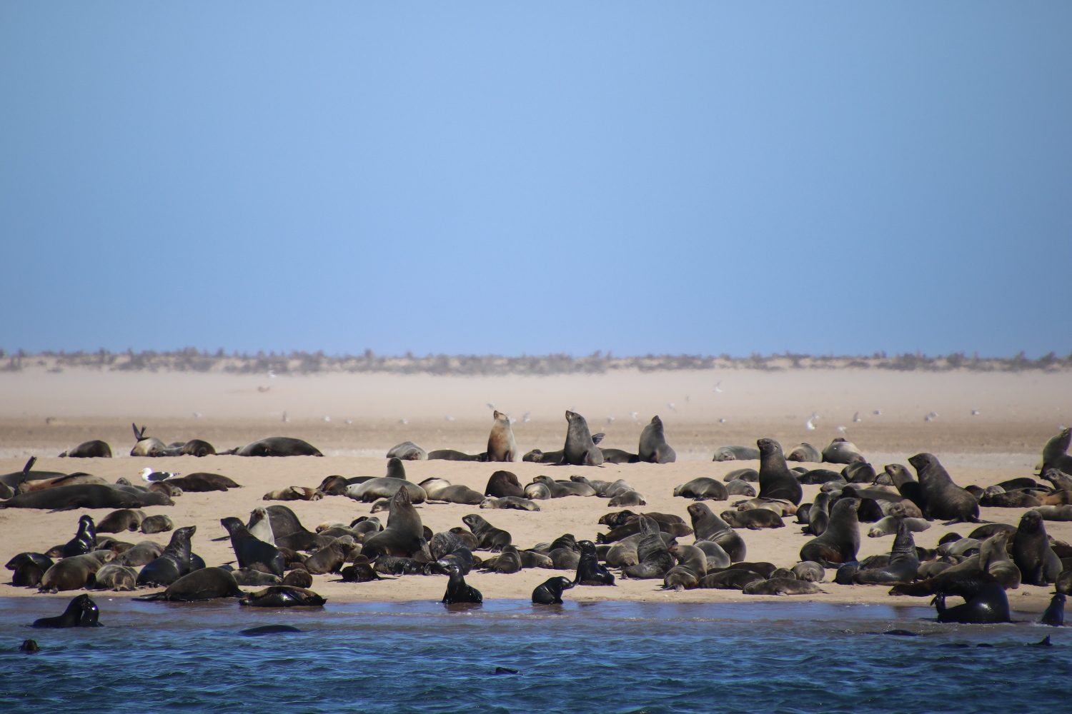 Namibia