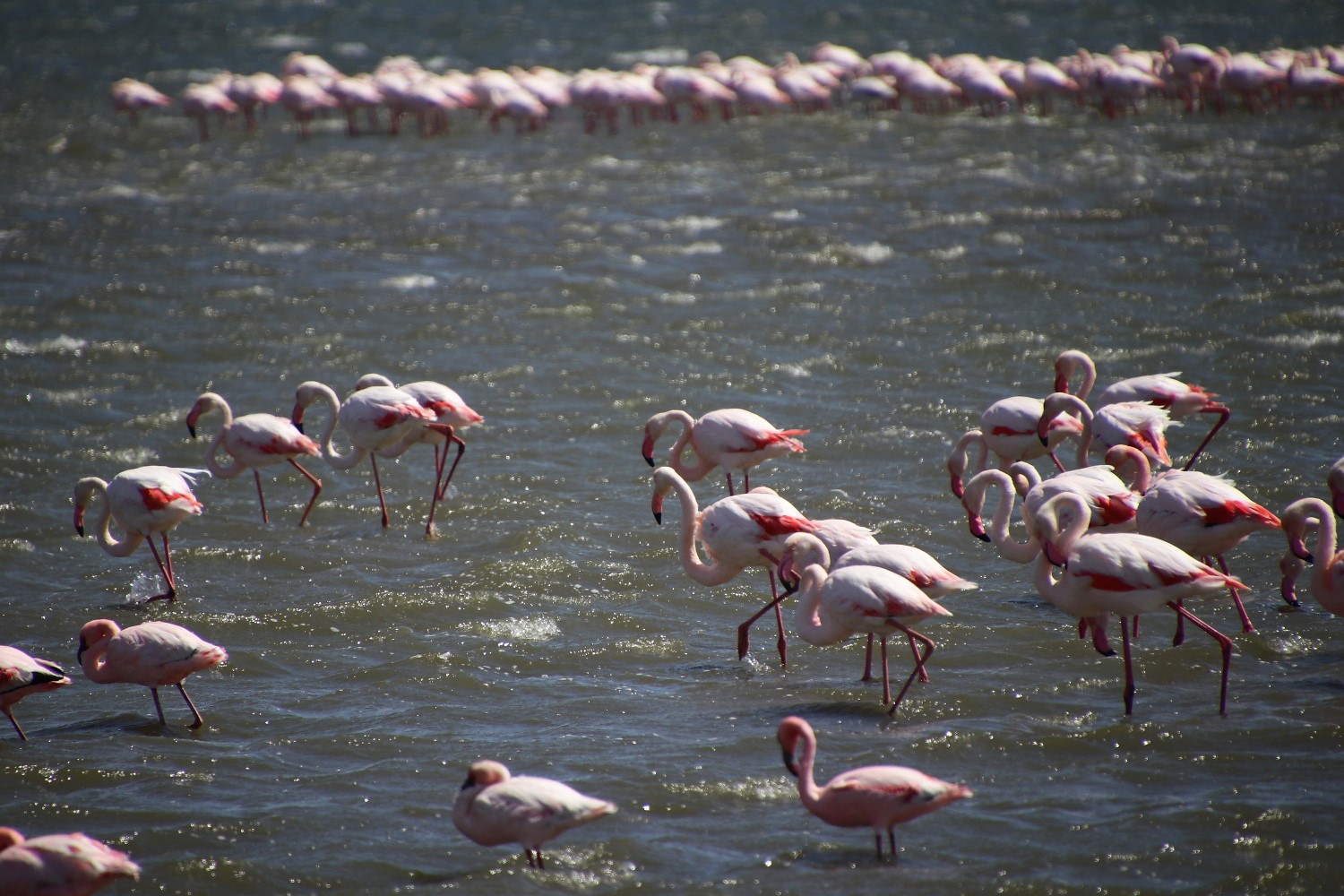 Namibia