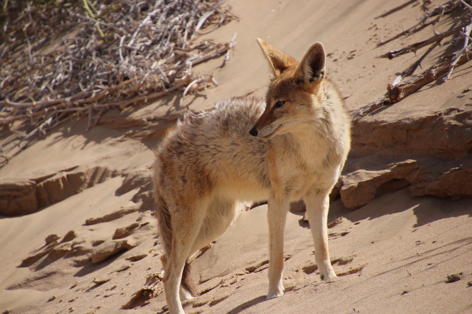Namibia