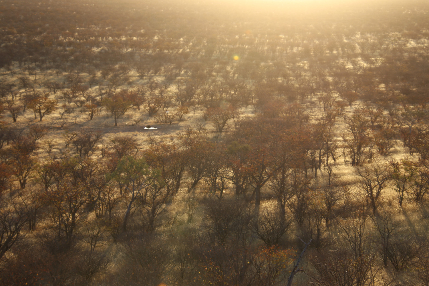 Namibia