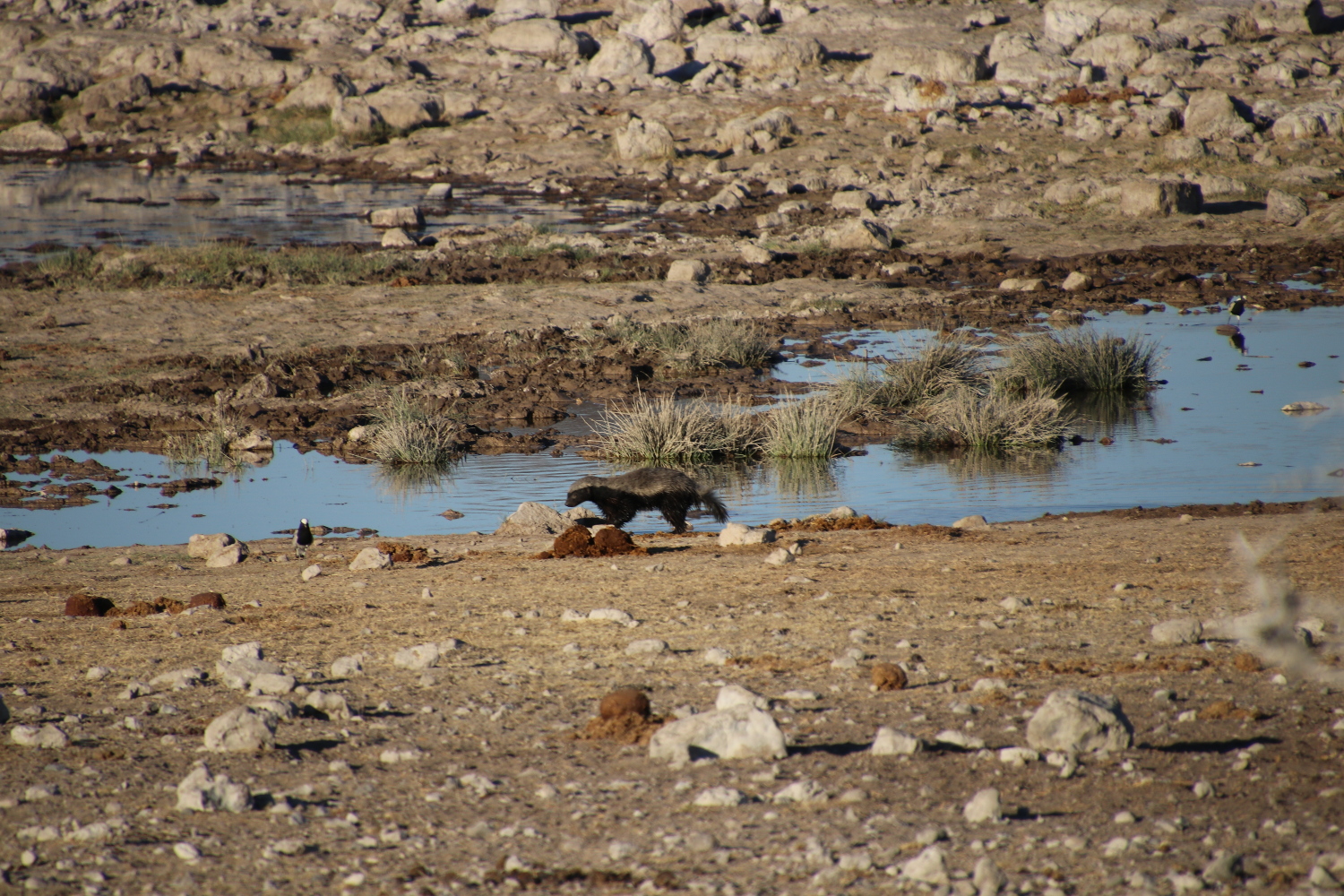 Namibia