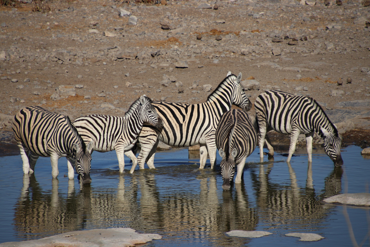 Namibia