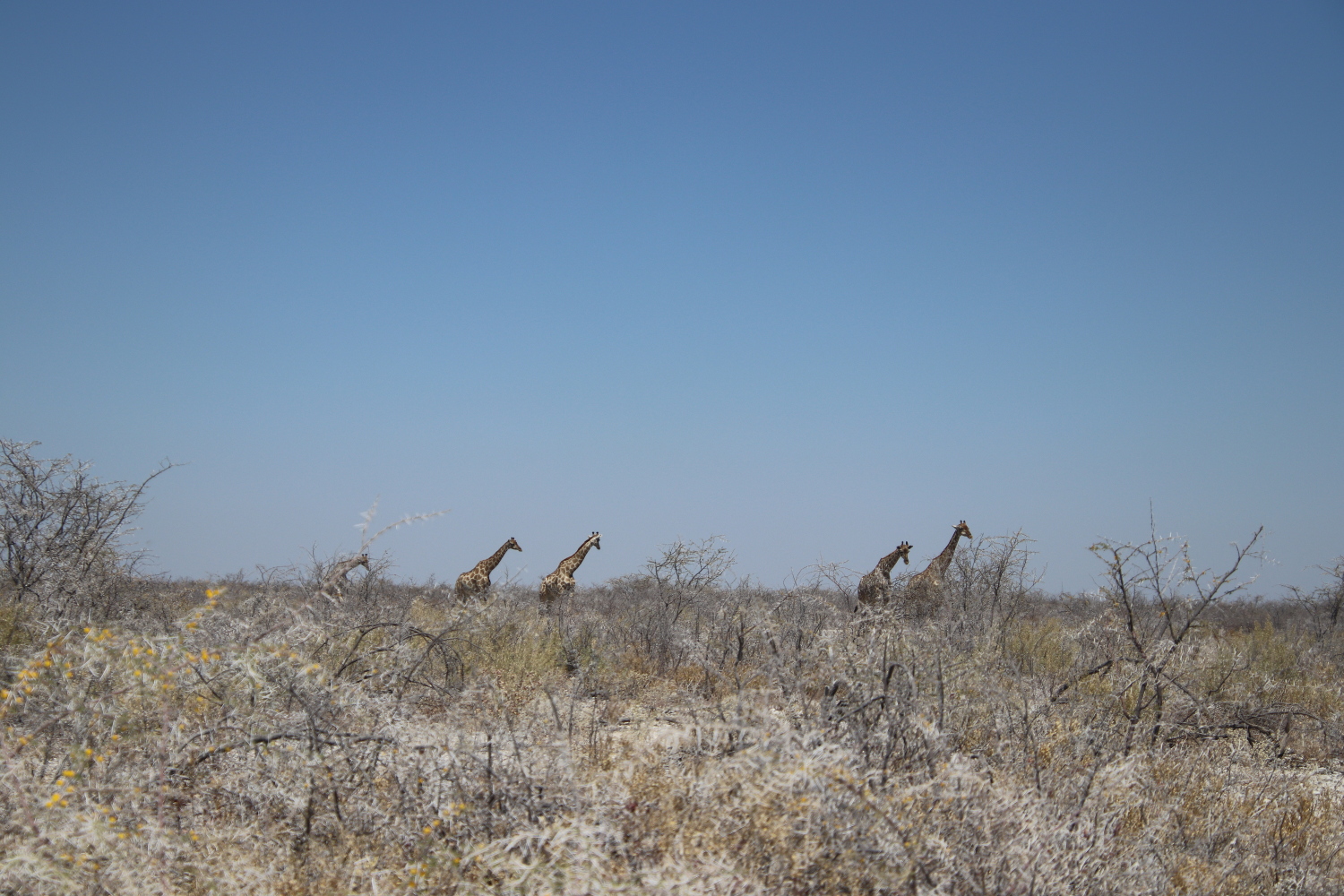 Namibia