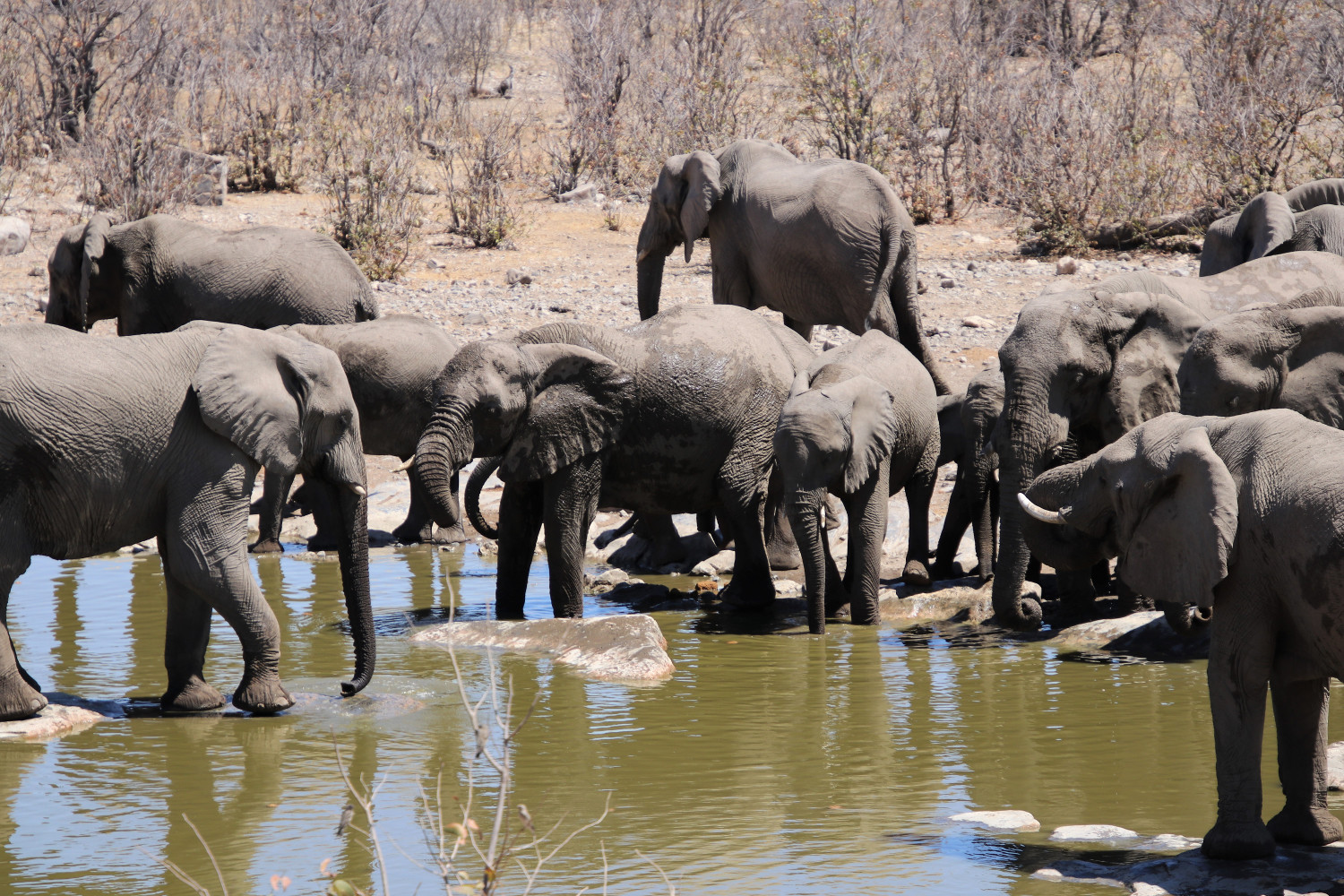 Namibia