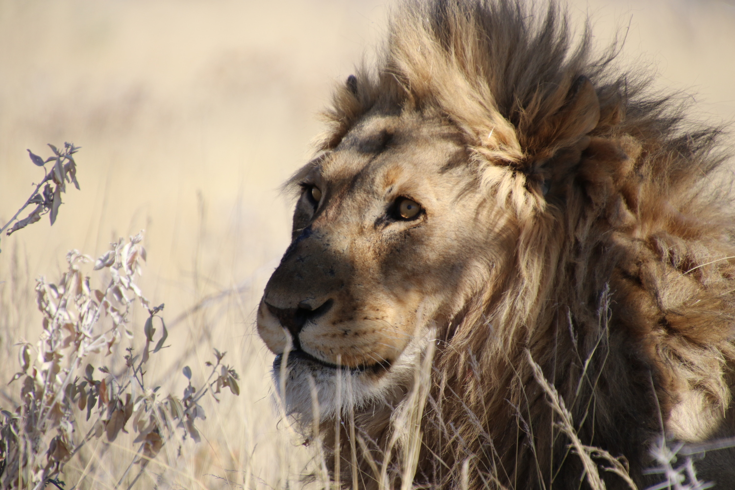 Namibia
