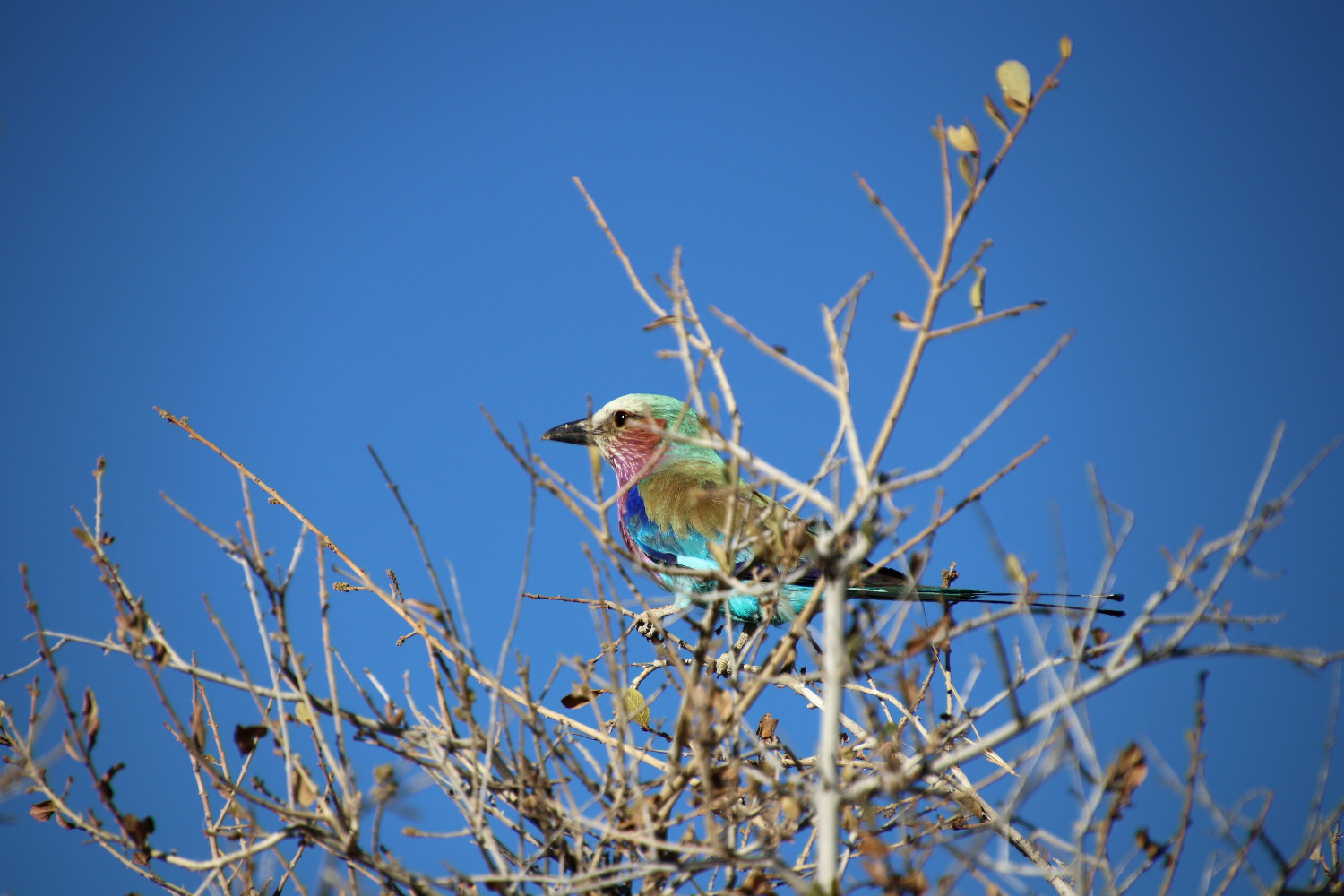 Namibia