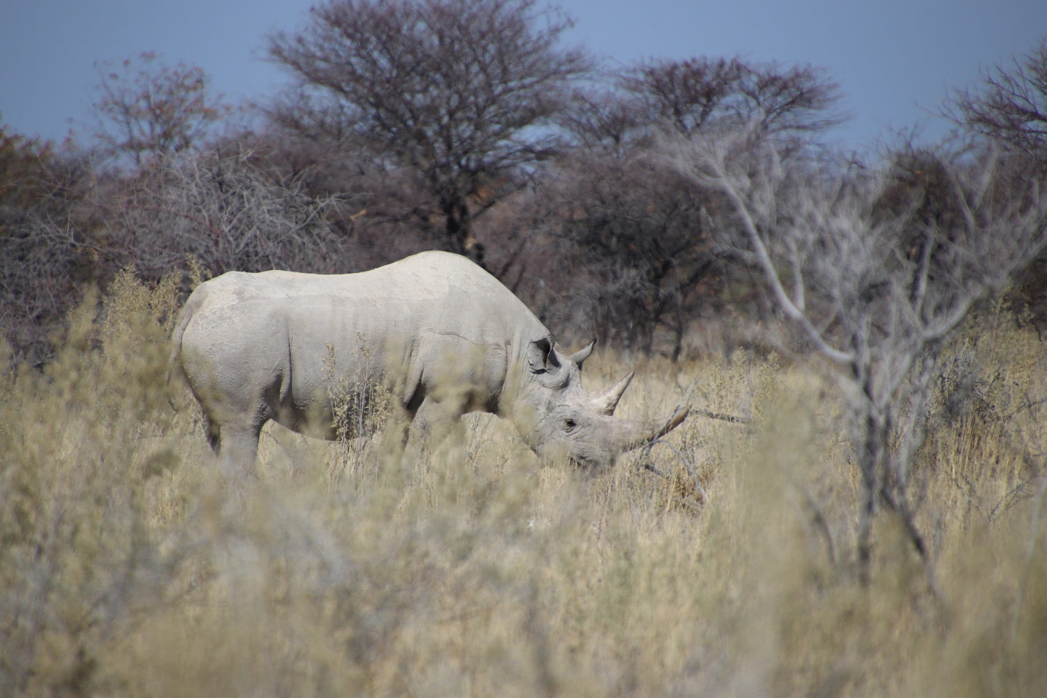 Namibia