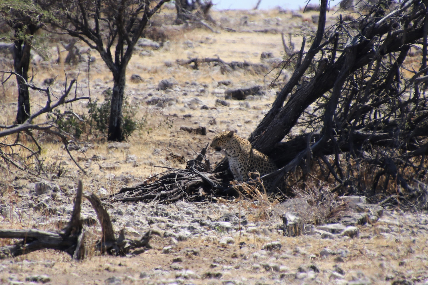 Namibia