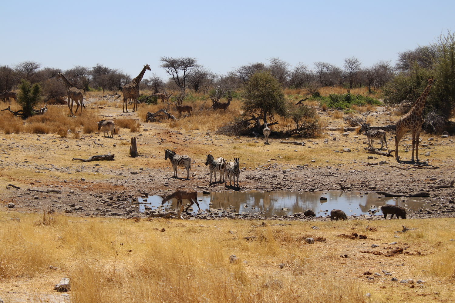 Namibia