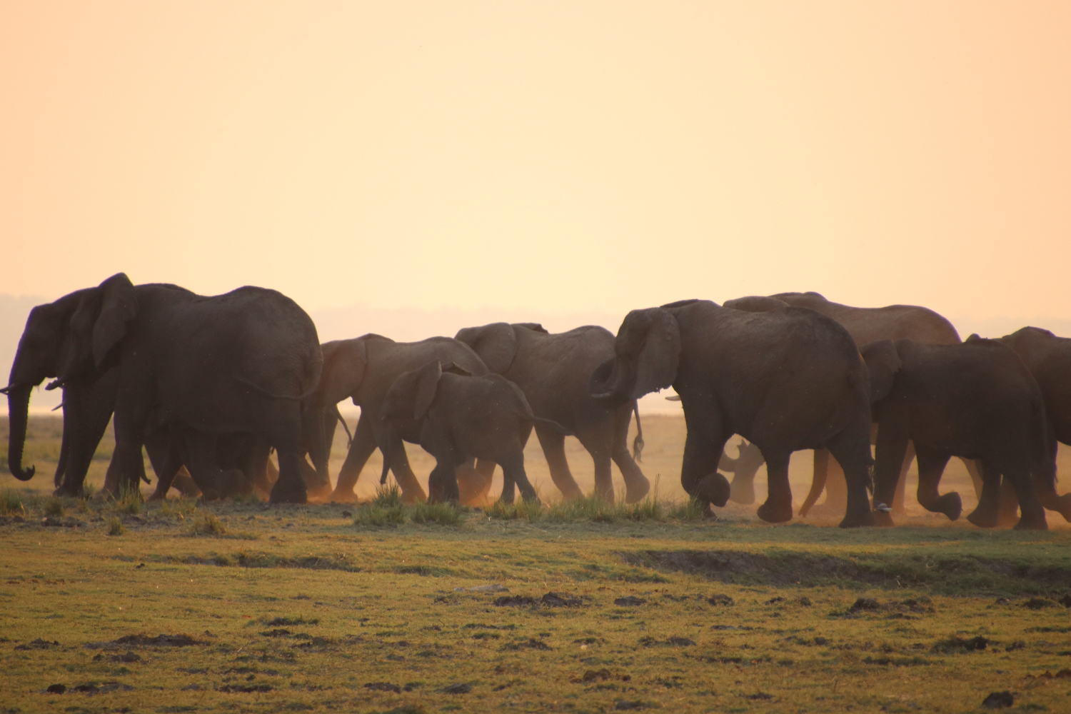 Namibia