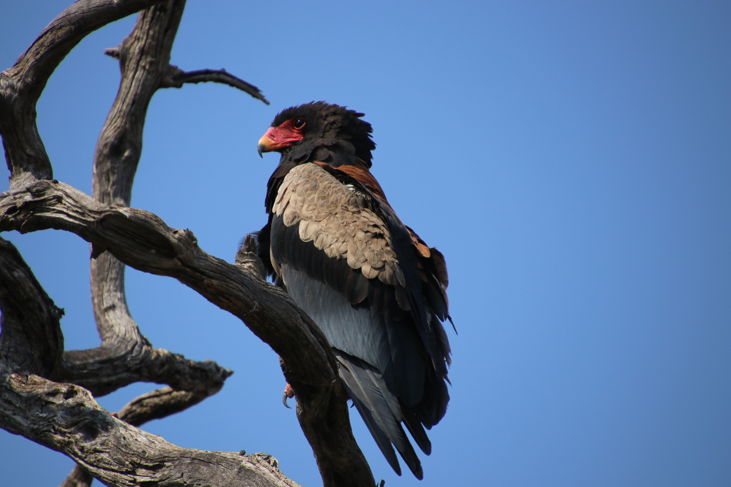 Namibia