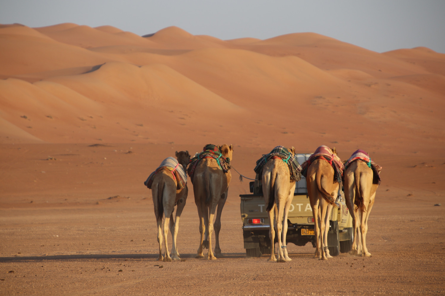 Oman