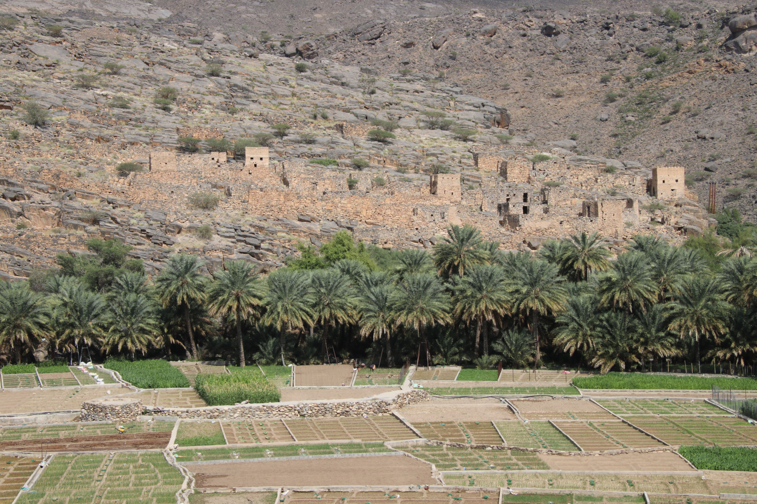 Oman