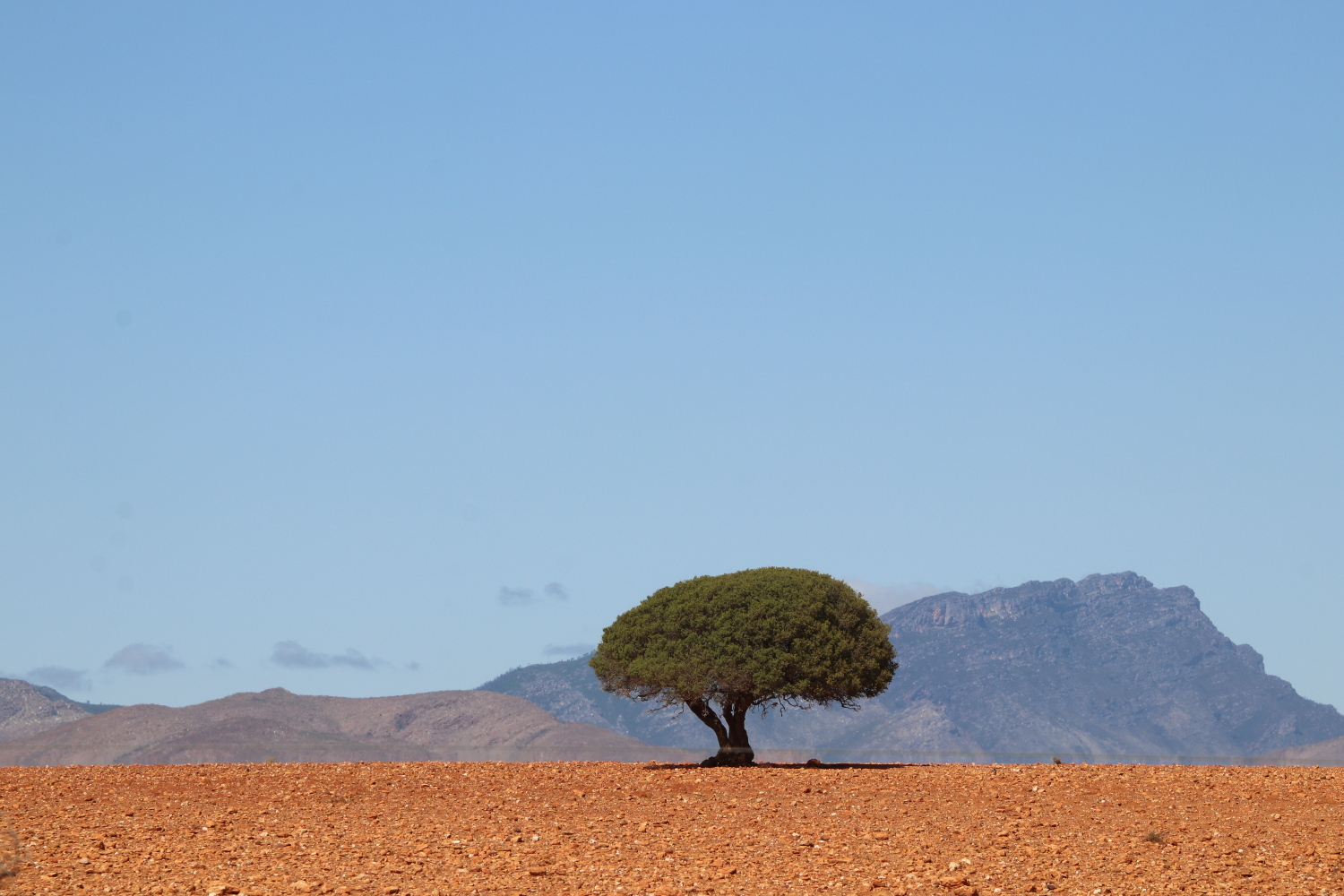 South-Africa