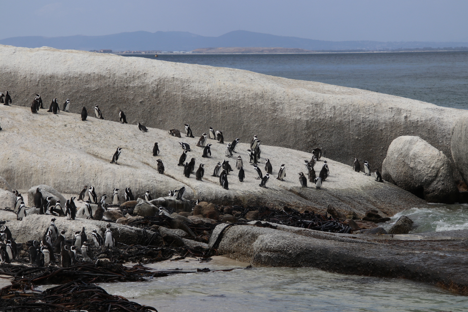 South-Africa