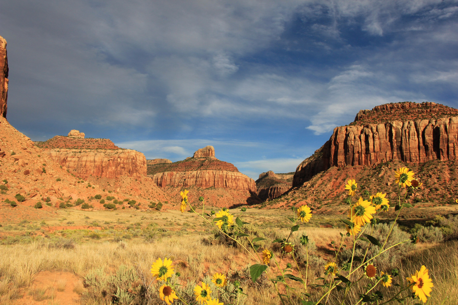 SW USA