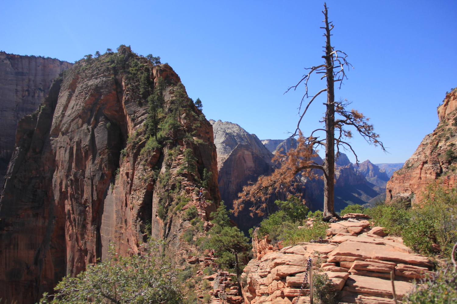 SW USA