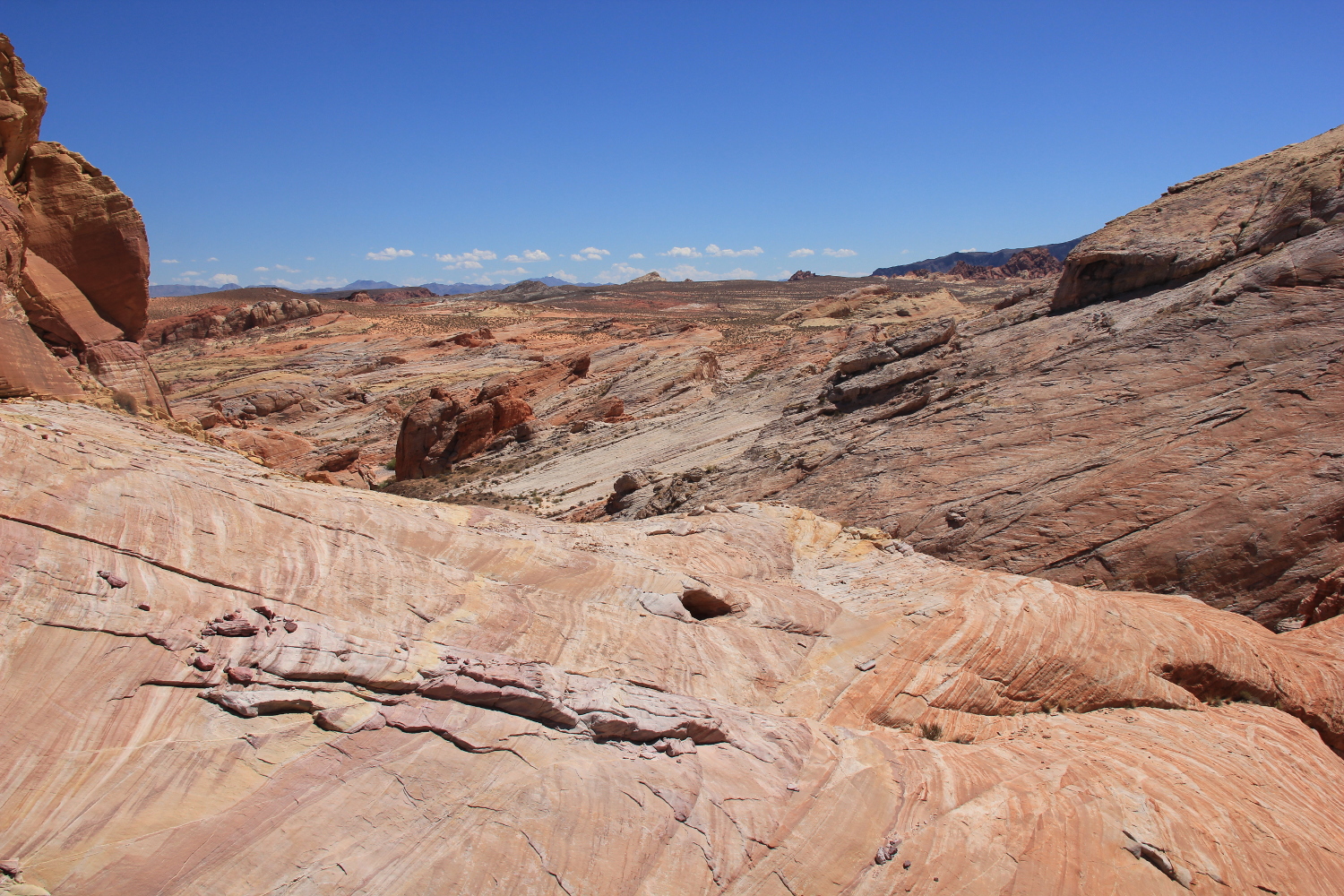 SW USA