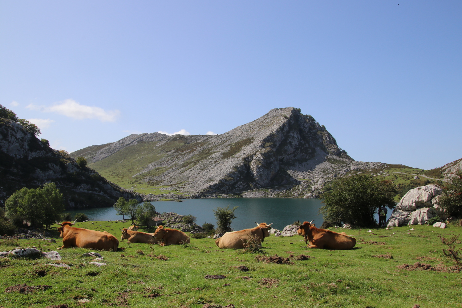Spain